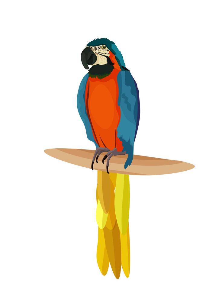 Blue and yellow ara macaw sitting on a branch. Bird. Parrot. Vector illustration