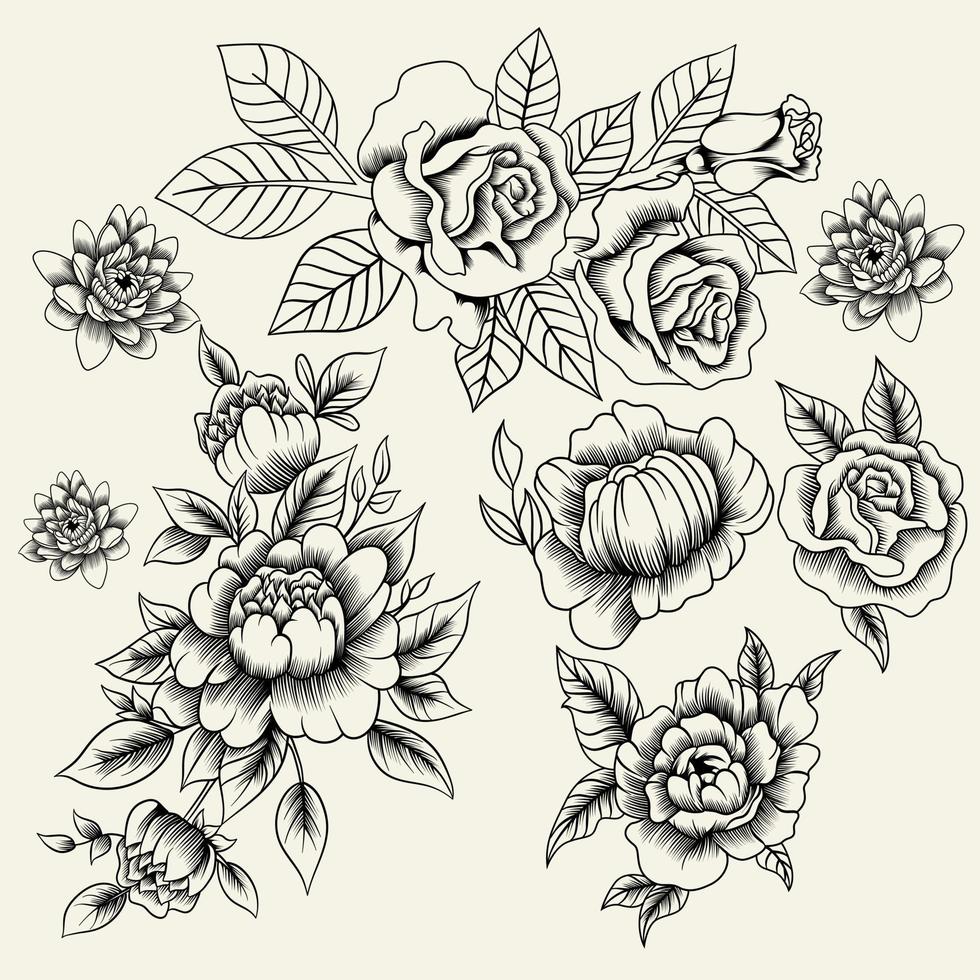 ilustración vectorial de rosas rojas en blanco y negro vector