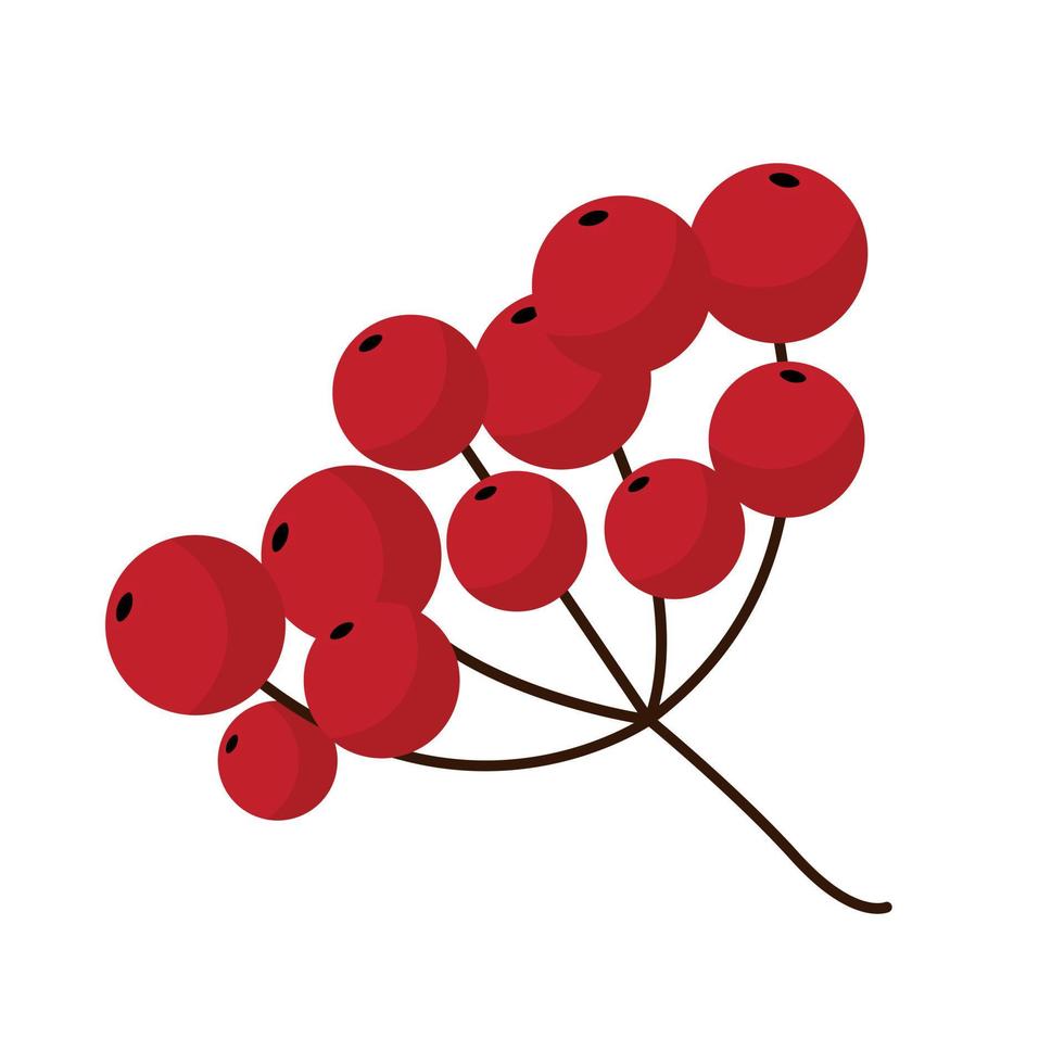 Bunch of red rowan in flat style on white background. Branch with red berries vector