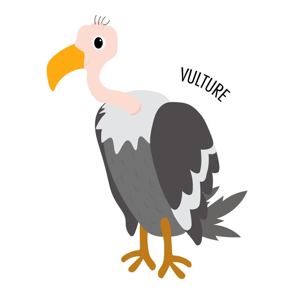 cartoon vulture isolated on white background vector