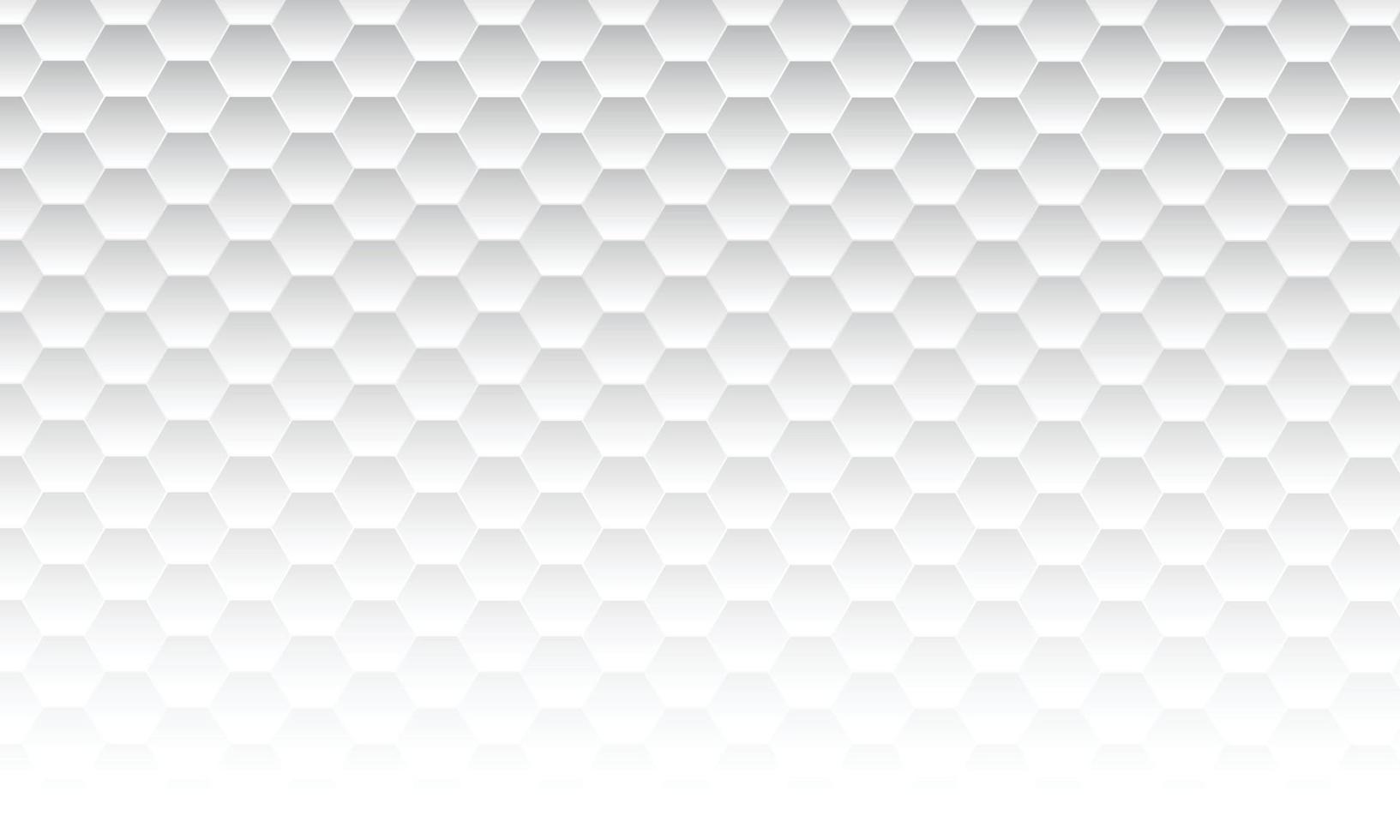 Abstract simple white hexagon background. vector