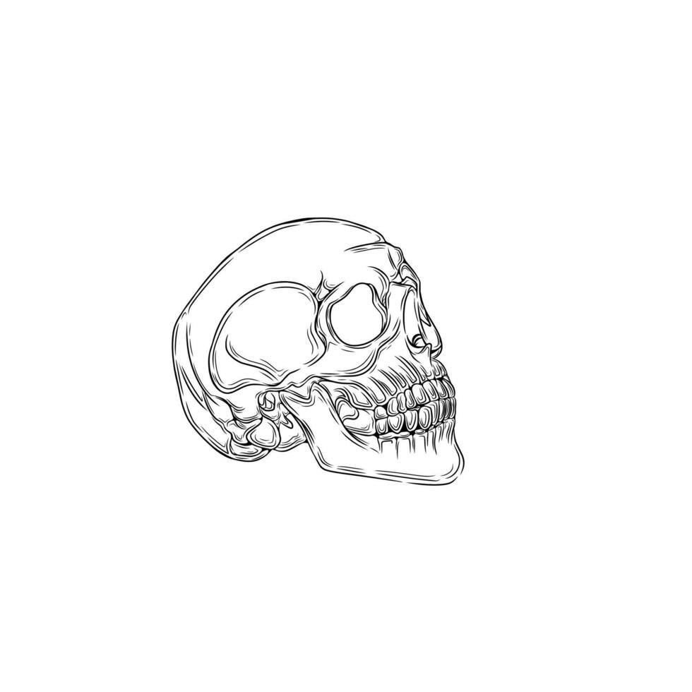Vintage tribal human skull vector
