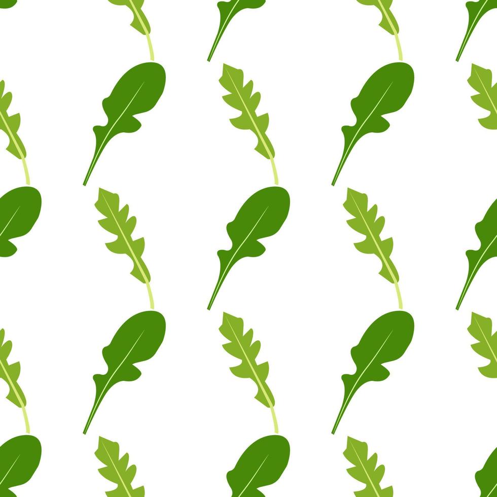 patrón sin costuras de hojas de rúcula sobre un fondo blanco. ilustración vectorial en estilo plano. vector