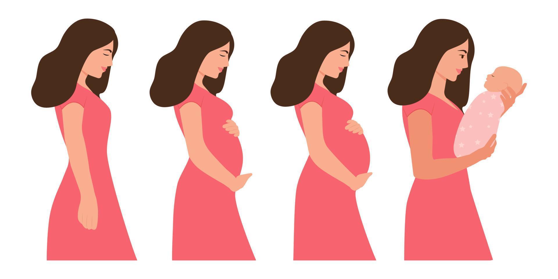 The main stages of pregnancy.Pregnant woman and newborn baby.Pregnancy beautiful woman body isolated on white background. Pregnancy Calendar. Flat vector illustration.