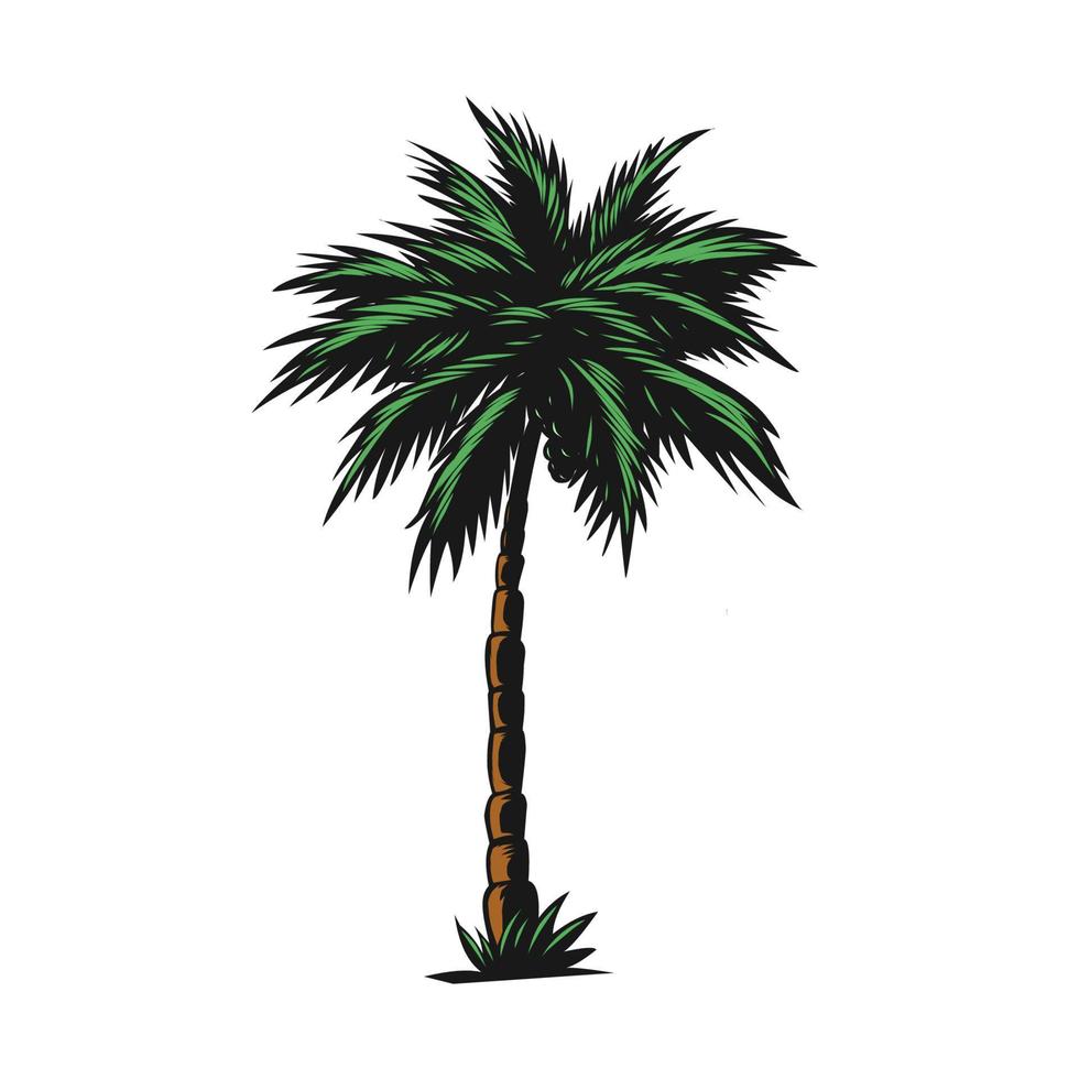 diseño de dibujo vectorial de árbol de coco vector