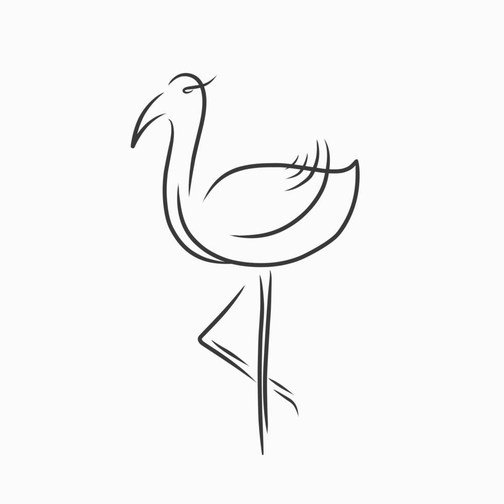 standing flamingo bird abstract line illustration vector