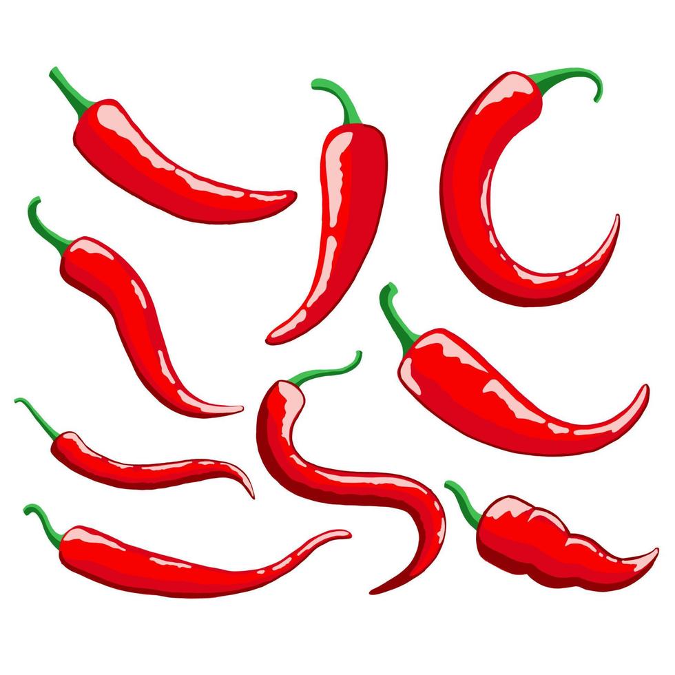 conjunto de ilustración de vector de pimiento picante rojo. bueno para la plantilla de diseño de comida o restaurante. estilo de color plano simple