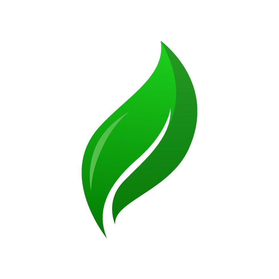 ilustración de vector de hoja verde. símbolo de la naturaleza ecológica. estilo dibujado a mano