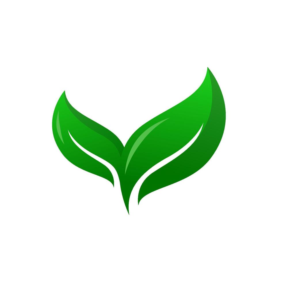 green leaf vector illustration. eco nature symbol. hand drawn style