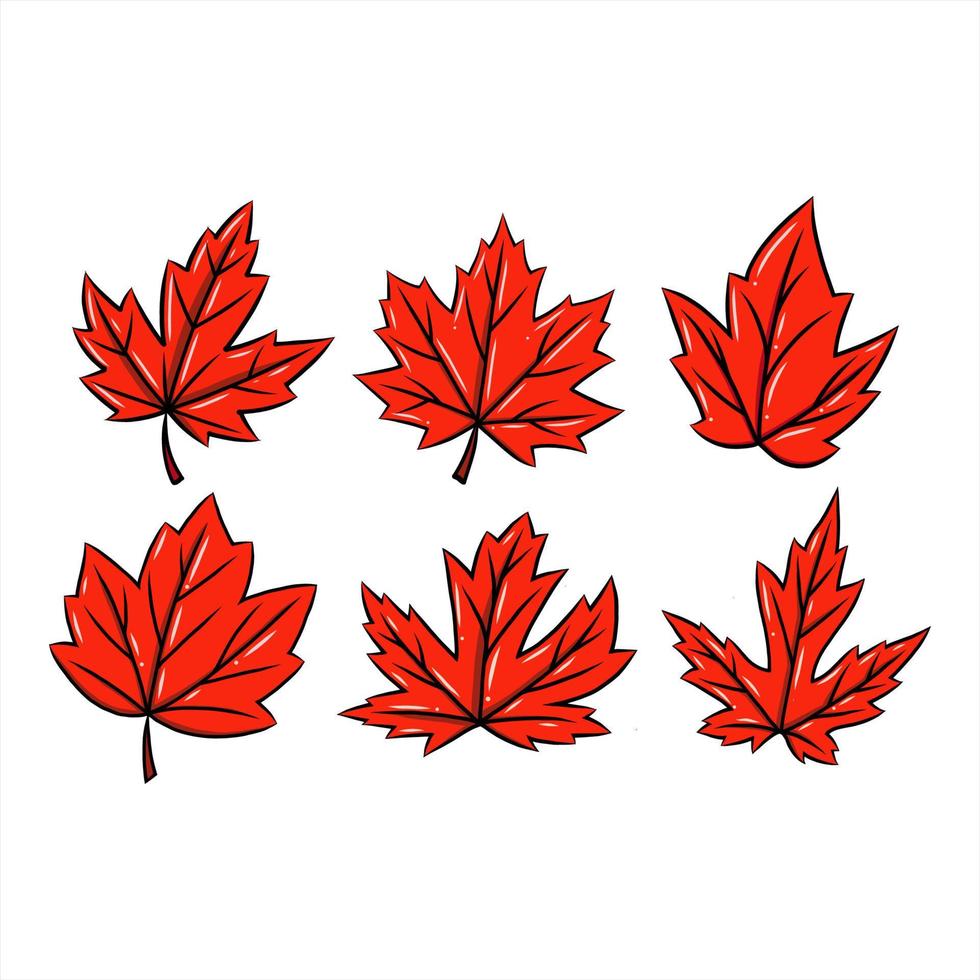 conjunto dibujado a mano de vector de hoja de arce rojo. símbolo de la temporada de otoño. símbolo canadiense