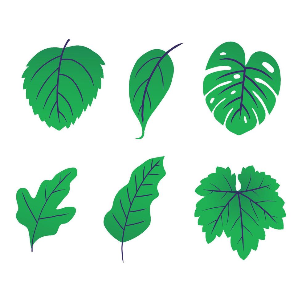 green leaf vector illustration. eco nature symbol. hand drawn style