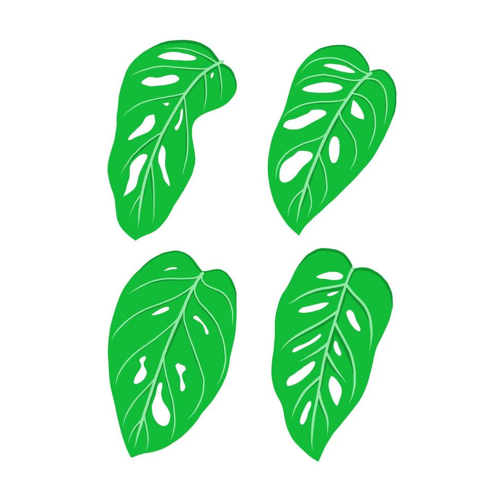 green leaf vector illustration. eco nature symbol. hand drawn style