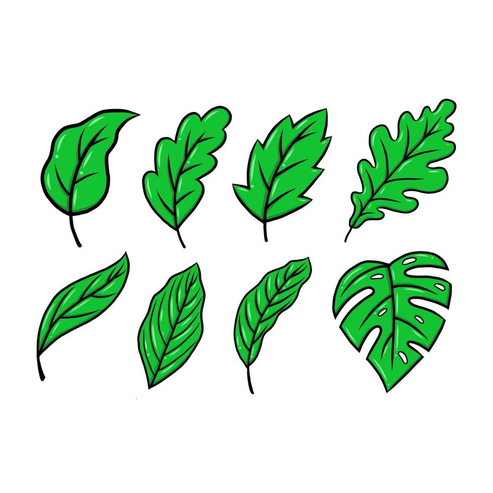 green leaf vector illustration. eco nature symbol. hand drawn style