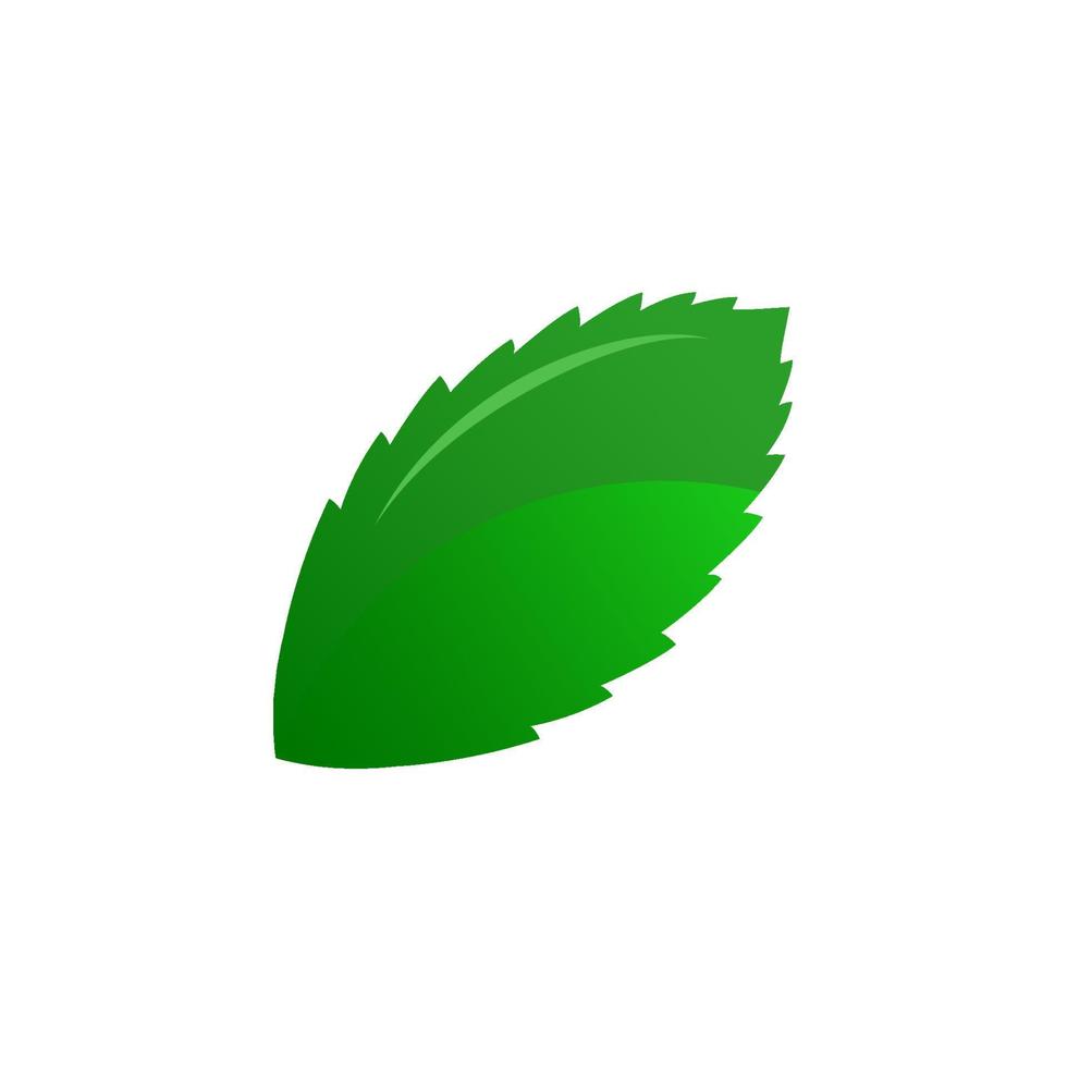 green leaf vector illustration. eco nature symbol. hand drawn style