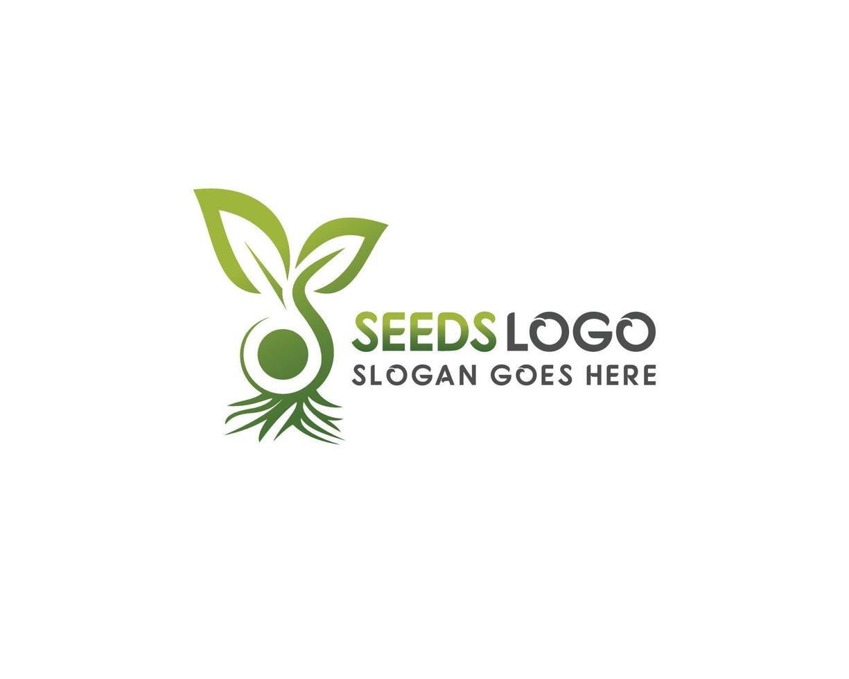 diseño de logotipo de semillas frescas verdes-diseño de logotipo de semilla natural, vector de semillas de colores