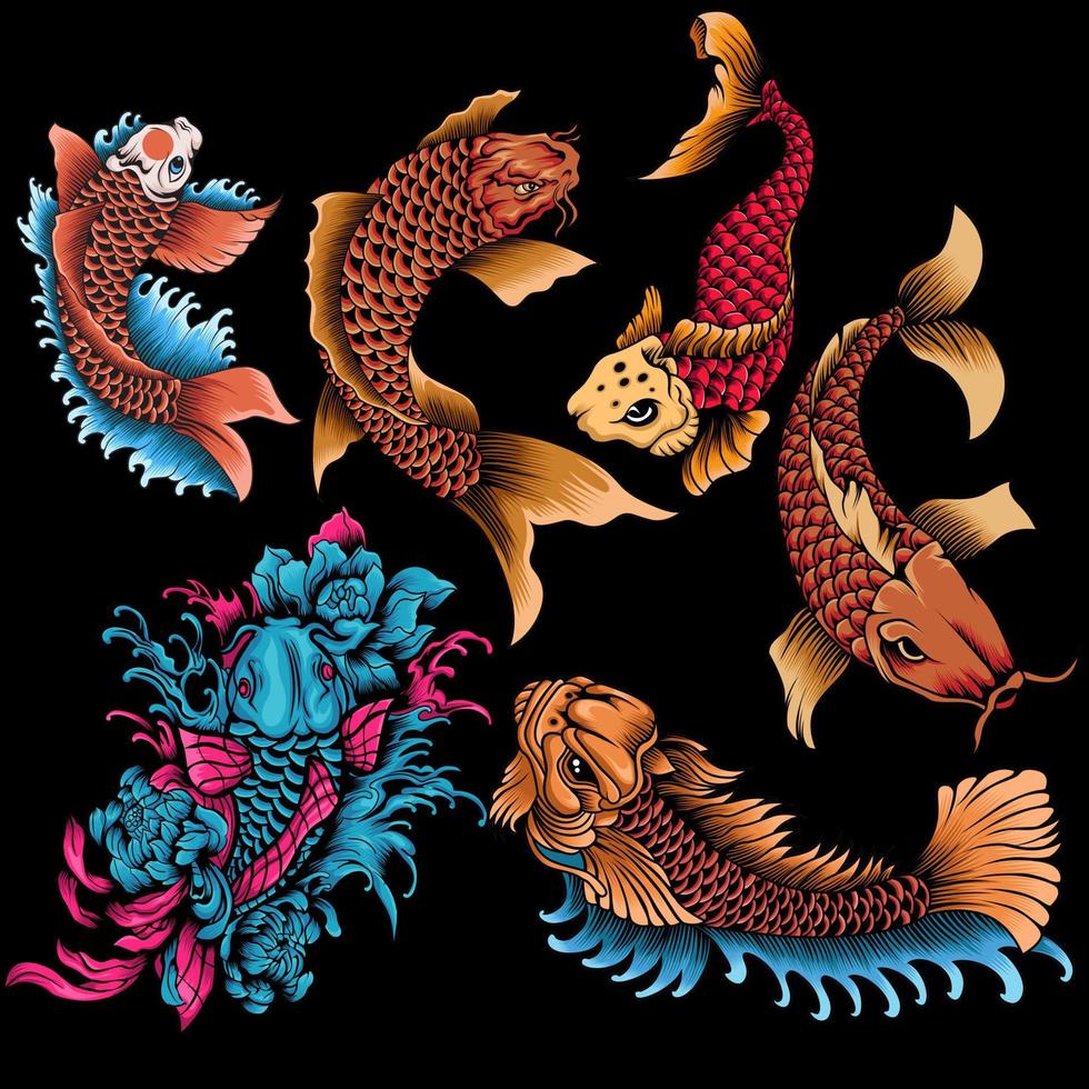 Vector Illustrations of Koi Fish