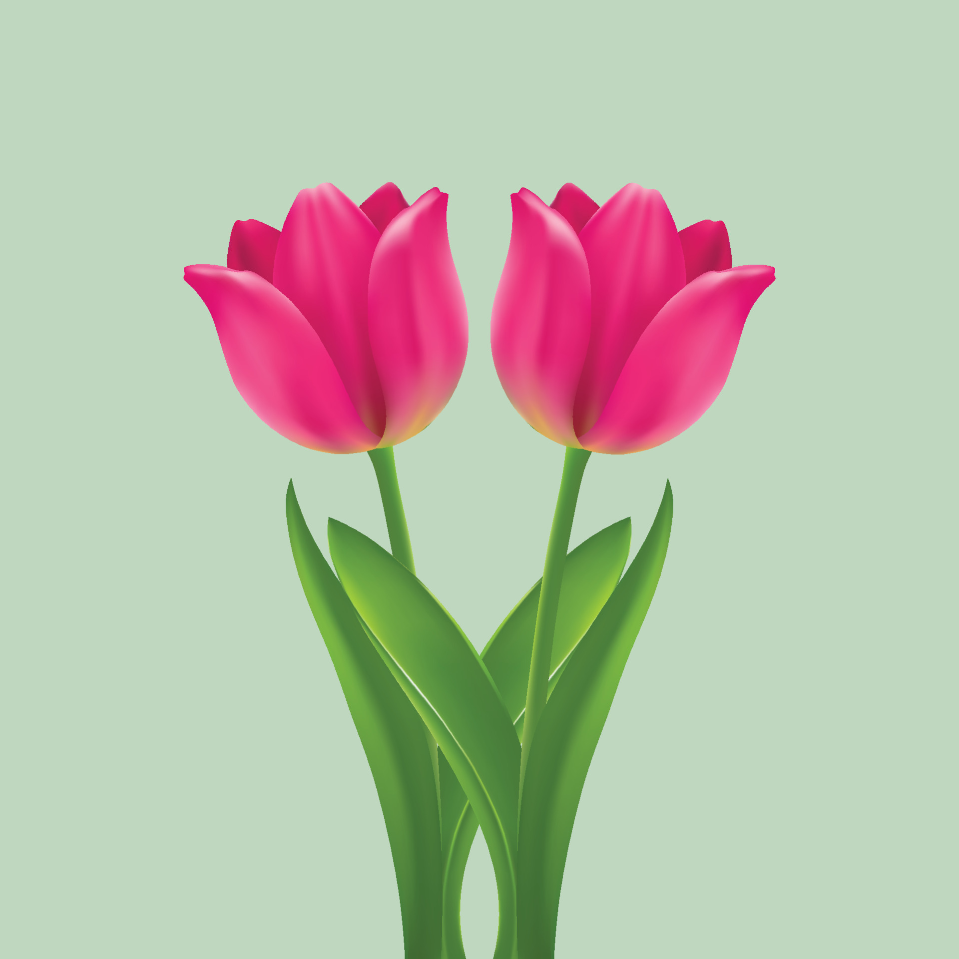 Realistic tulip flower design in vector 7721441 Vector Art at Vecteezy