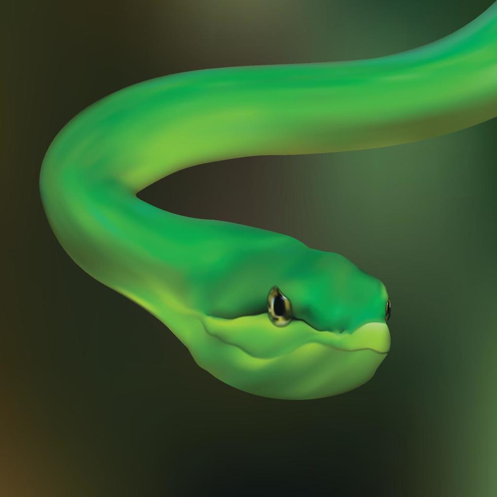 Realistic Snake green illustration vector