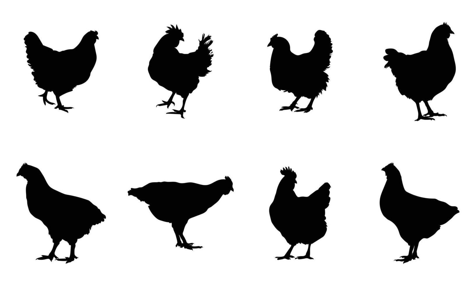 siluetas de pollo gallina. ilustración vectorial vector