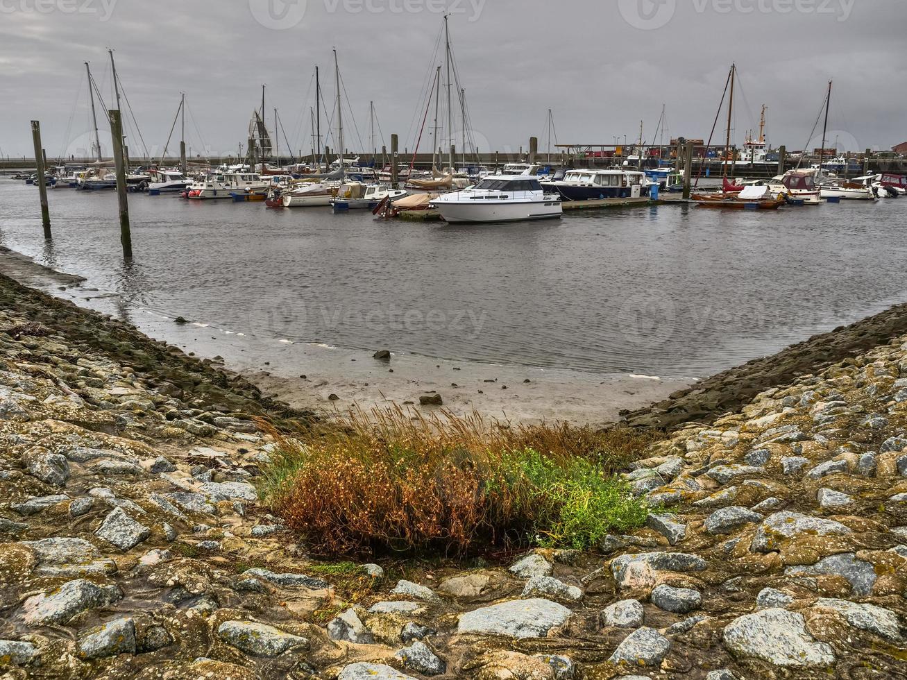 the island of Juist in the north sea photo