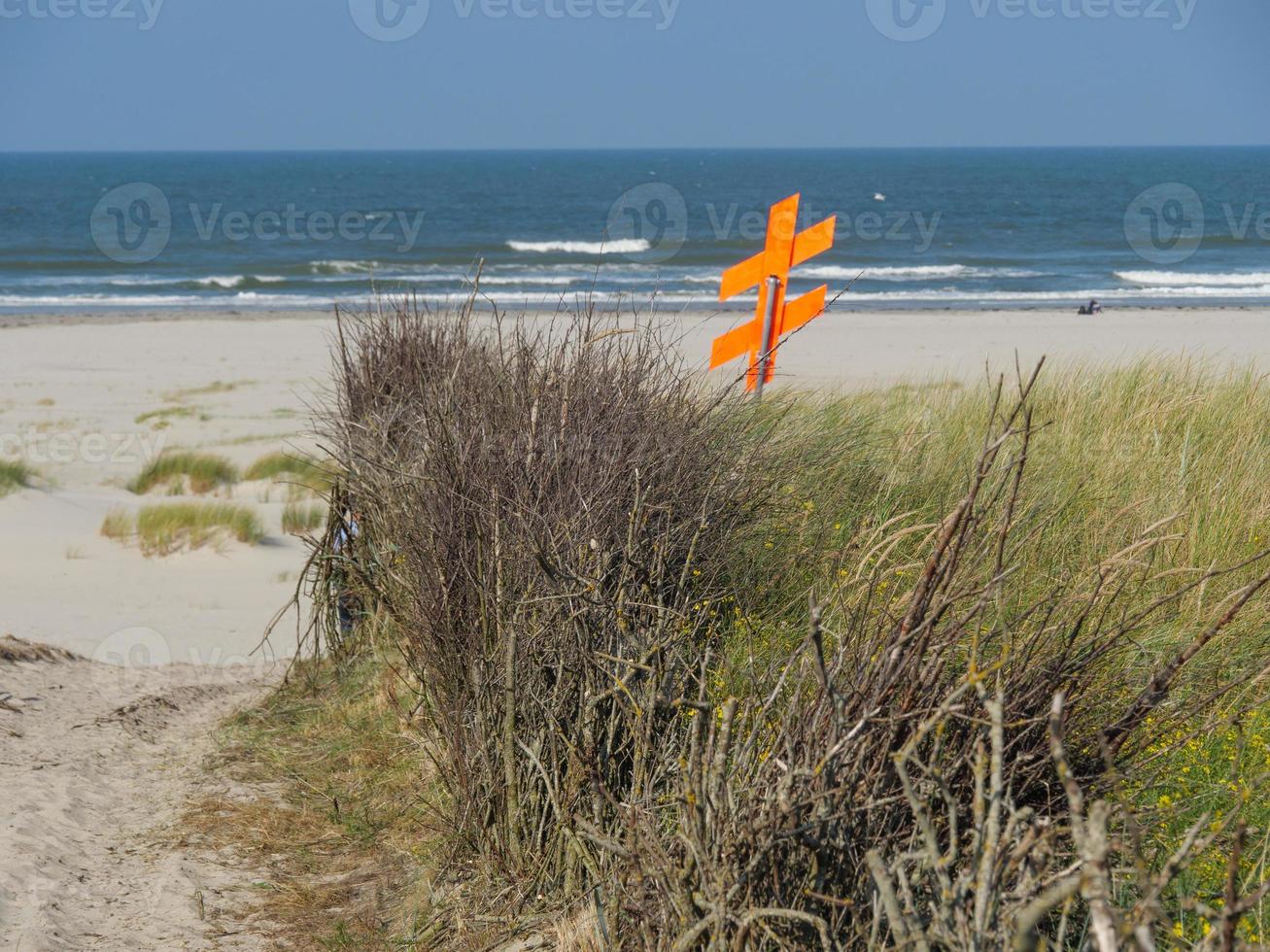 the island of Juist photo