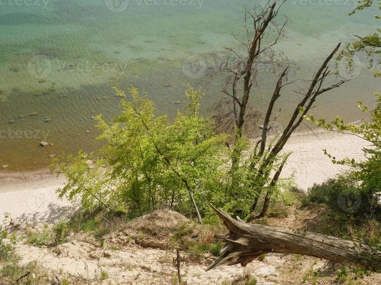 Beach at the baltic sea in poland photo