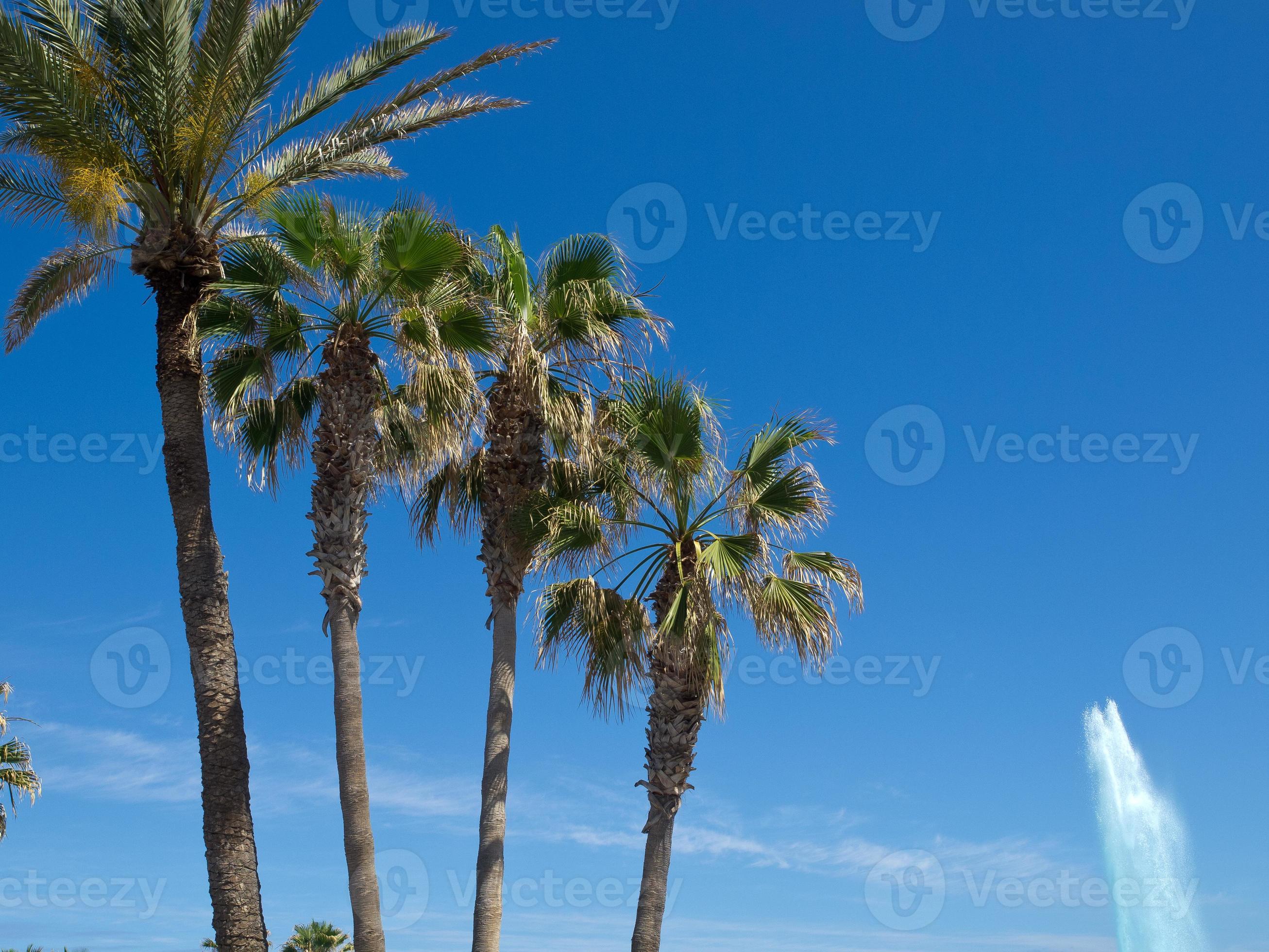tenerife island in spain 7723095 Stock Photo at Vecteezy