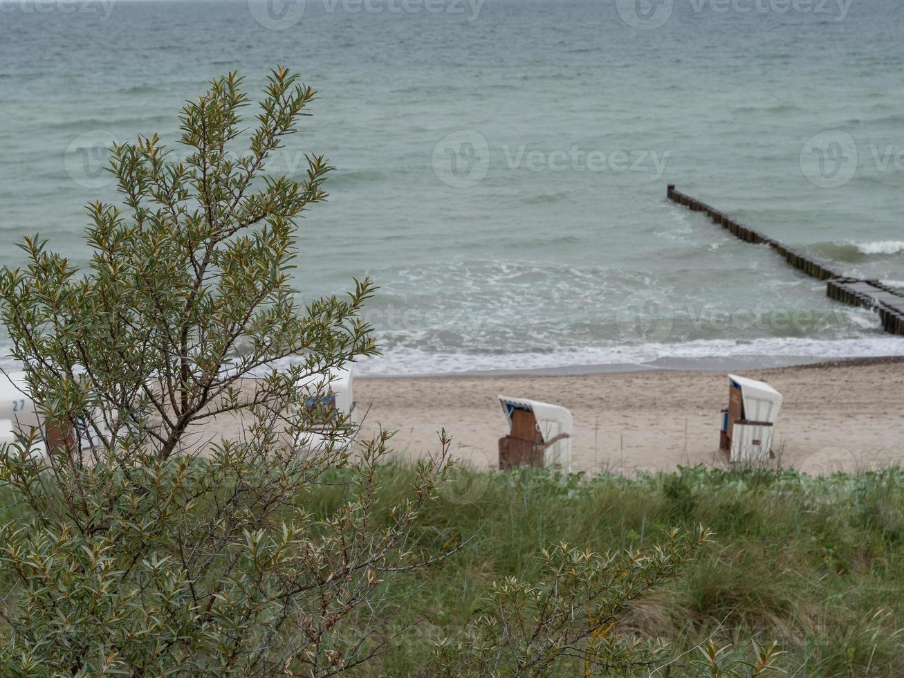 Darsser Ort at the baltic sea photo