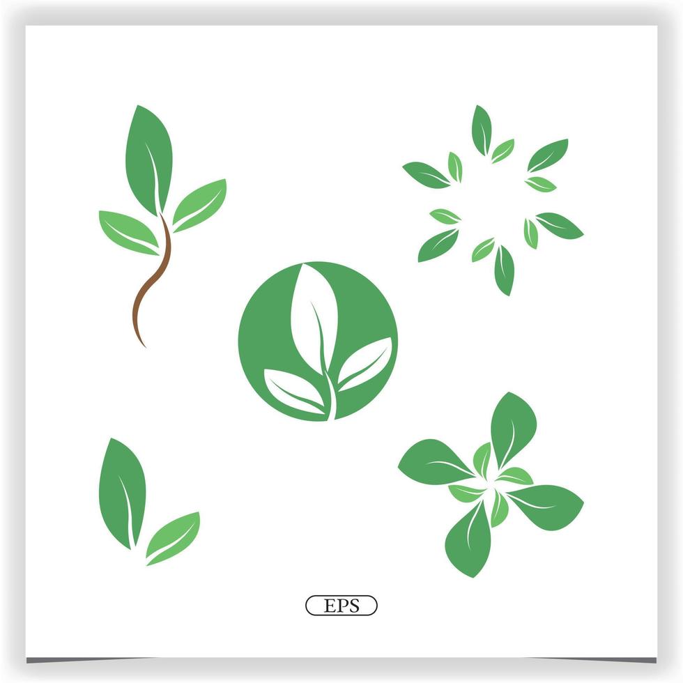 árbol hoja logo premium elegante plantilla vector eps 10