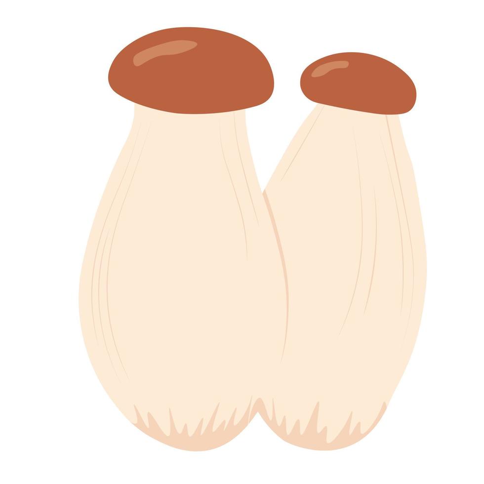 Pleurotus eryngii. Porcini mushrooms. Vector stock illustration. Isolated on a white background.