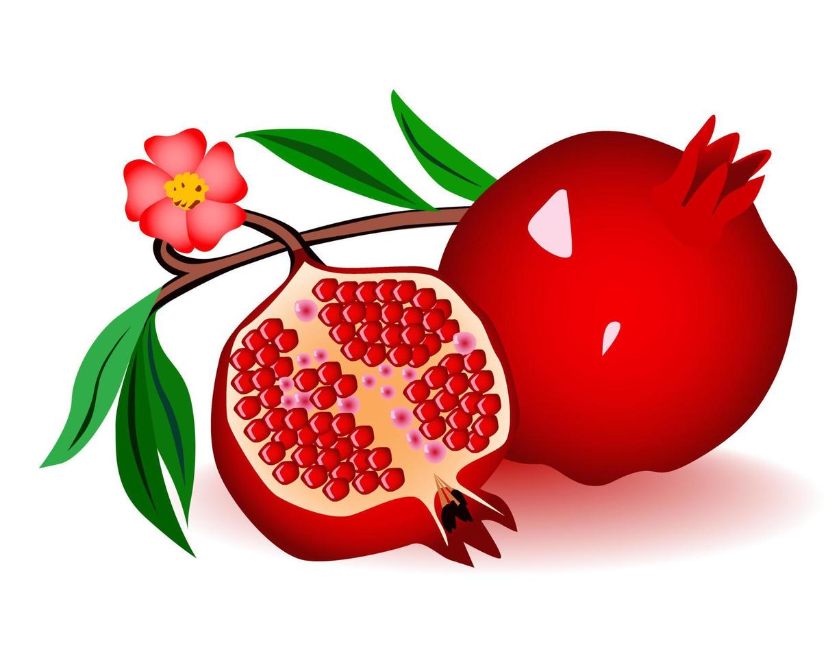 red garnets with flowers and green leaves vector