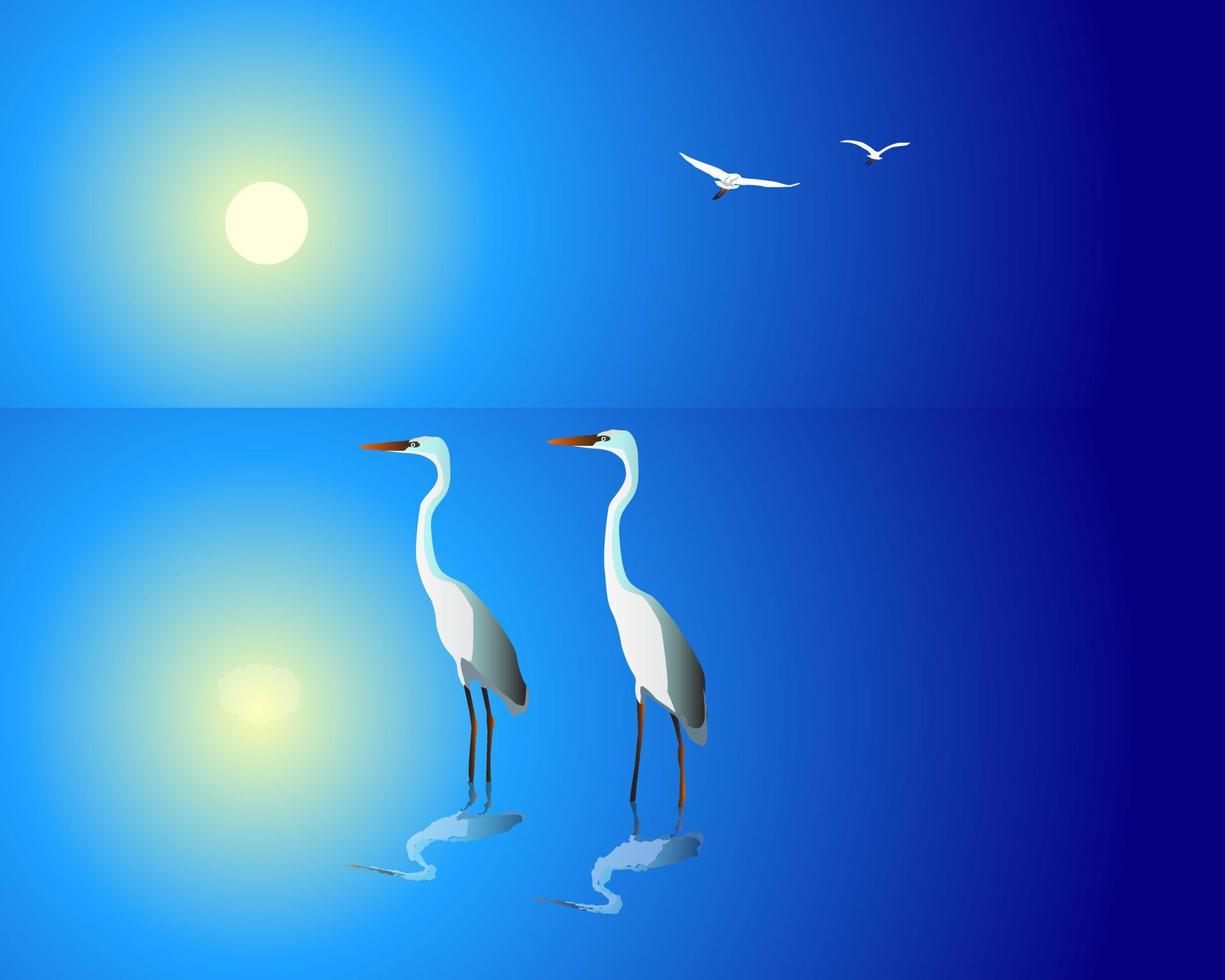 Two white herons standing in water against vector