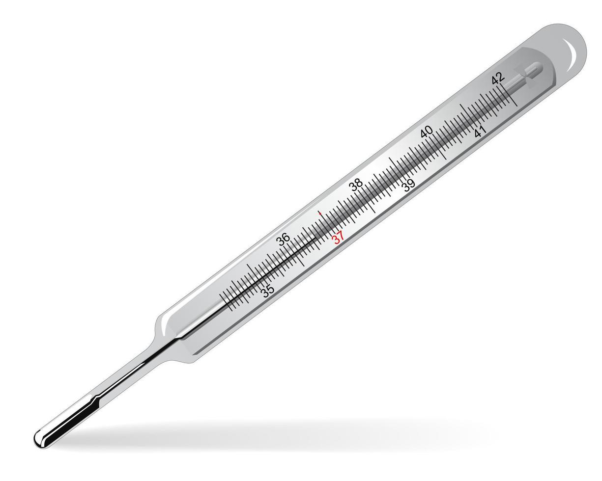 mercury medical thermometer on a white background vector