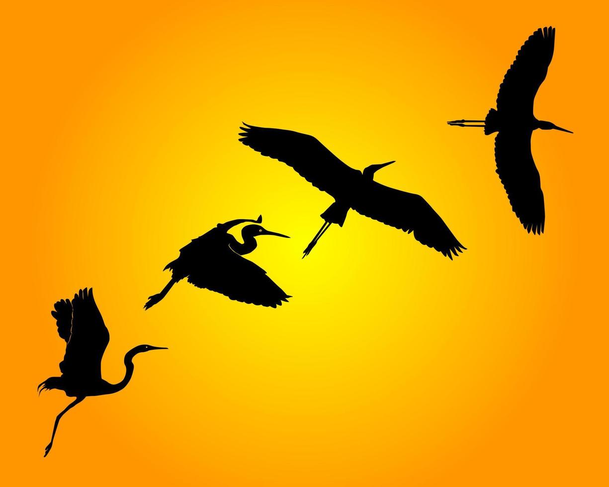 Group of silhouettes of a heron on an orange background vector
