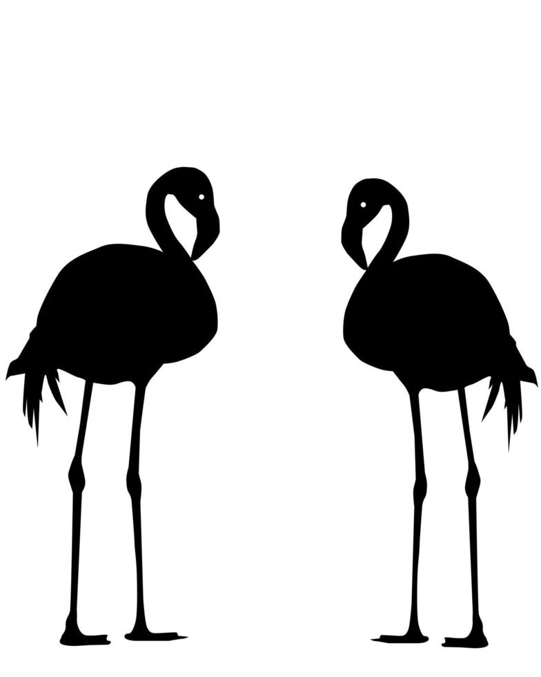 Silhouettes of two flamingos on an orange background vector