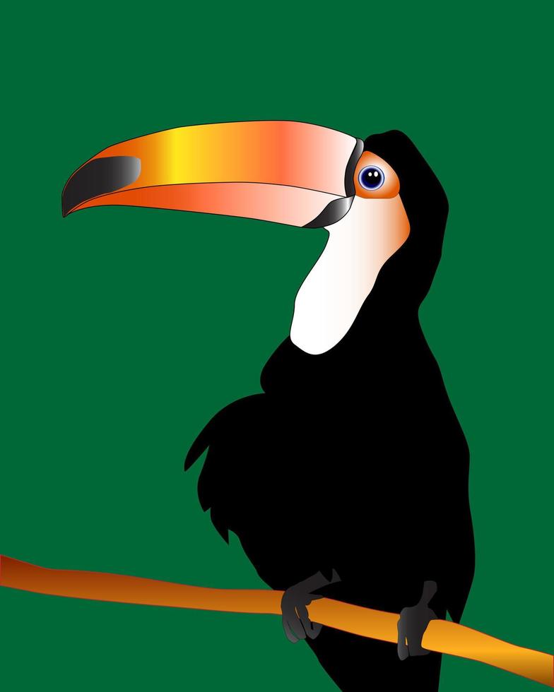 Bird toucan sitting on a branch vector