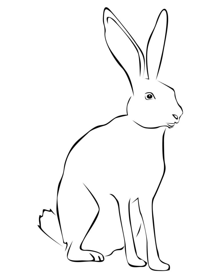 Tracing of a hare on a white background vector