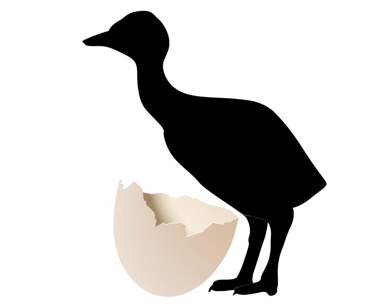 black silhouette ostrich hatched from an egg vector