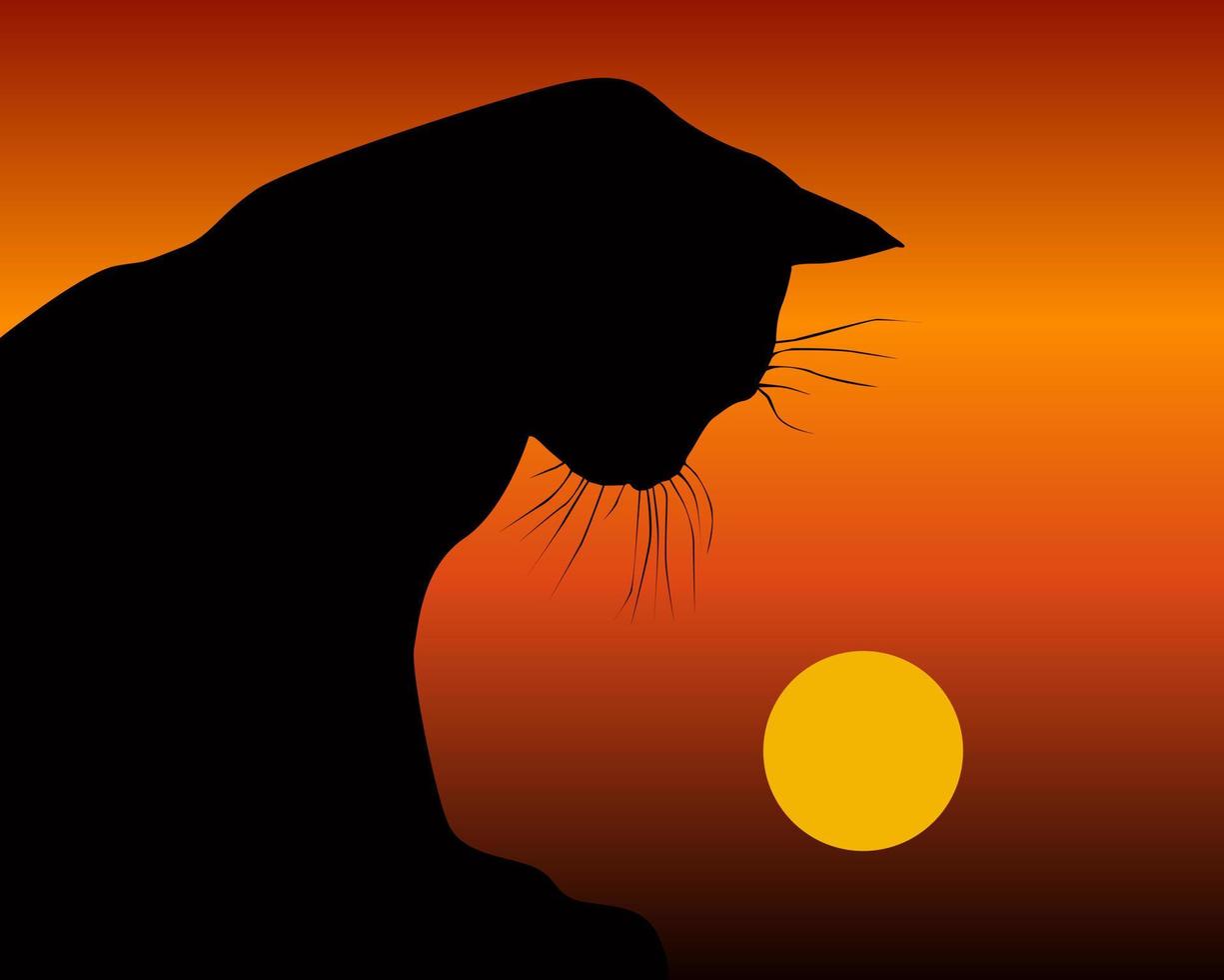 gato negro y el sol poniente vector