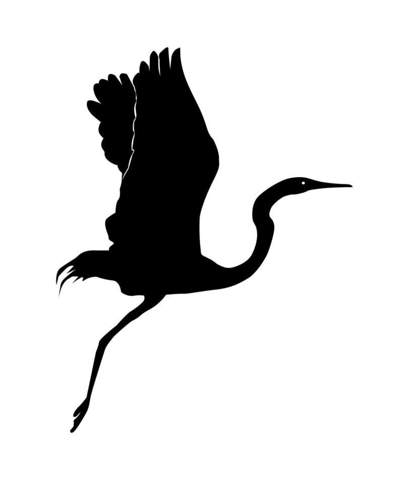 Black silhouette of a heron on a white background vector