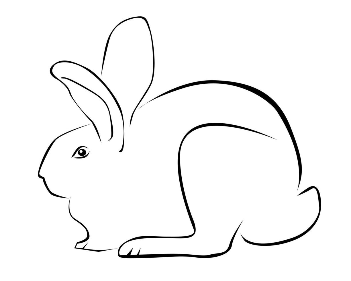 Tracing of a rabbit on a white background vector