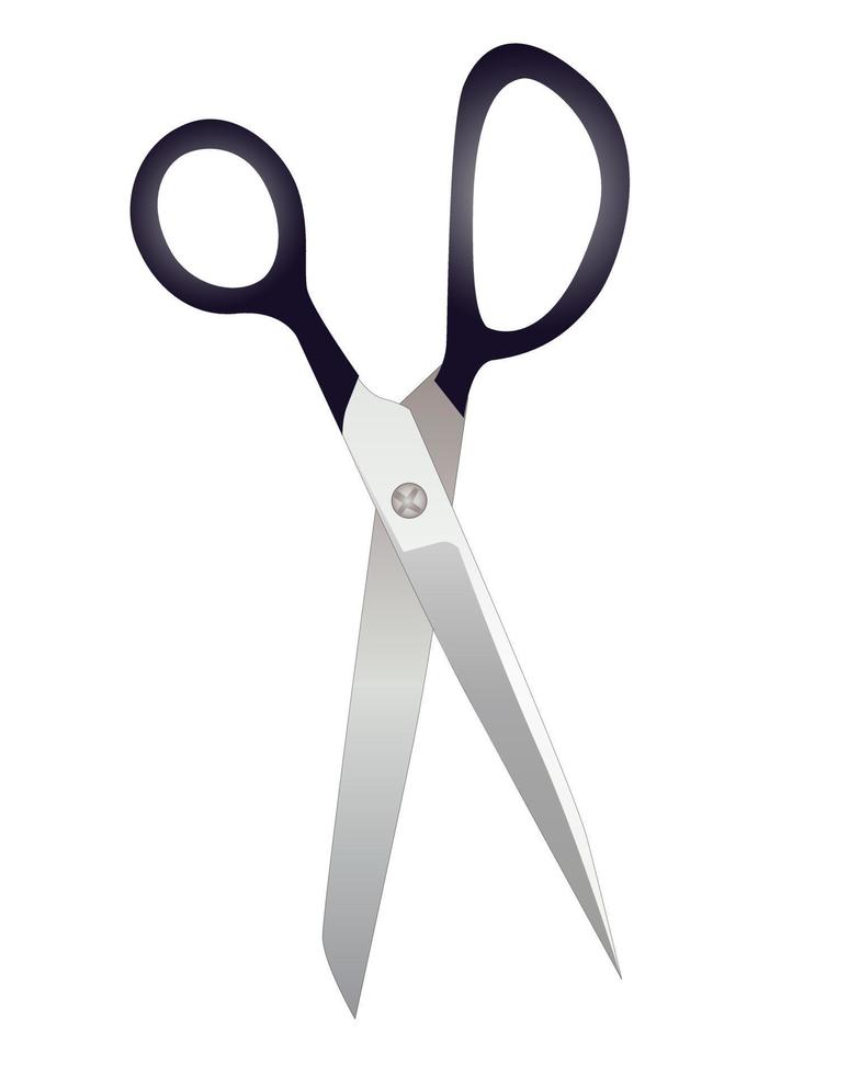 tailor scissors on a white background vector