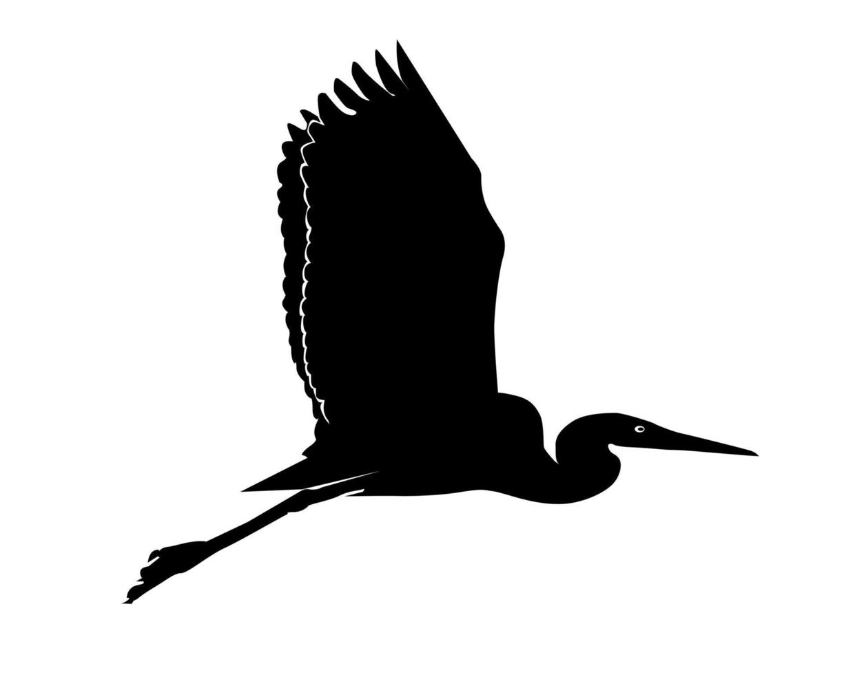 Black silhouette of a flying heron vector