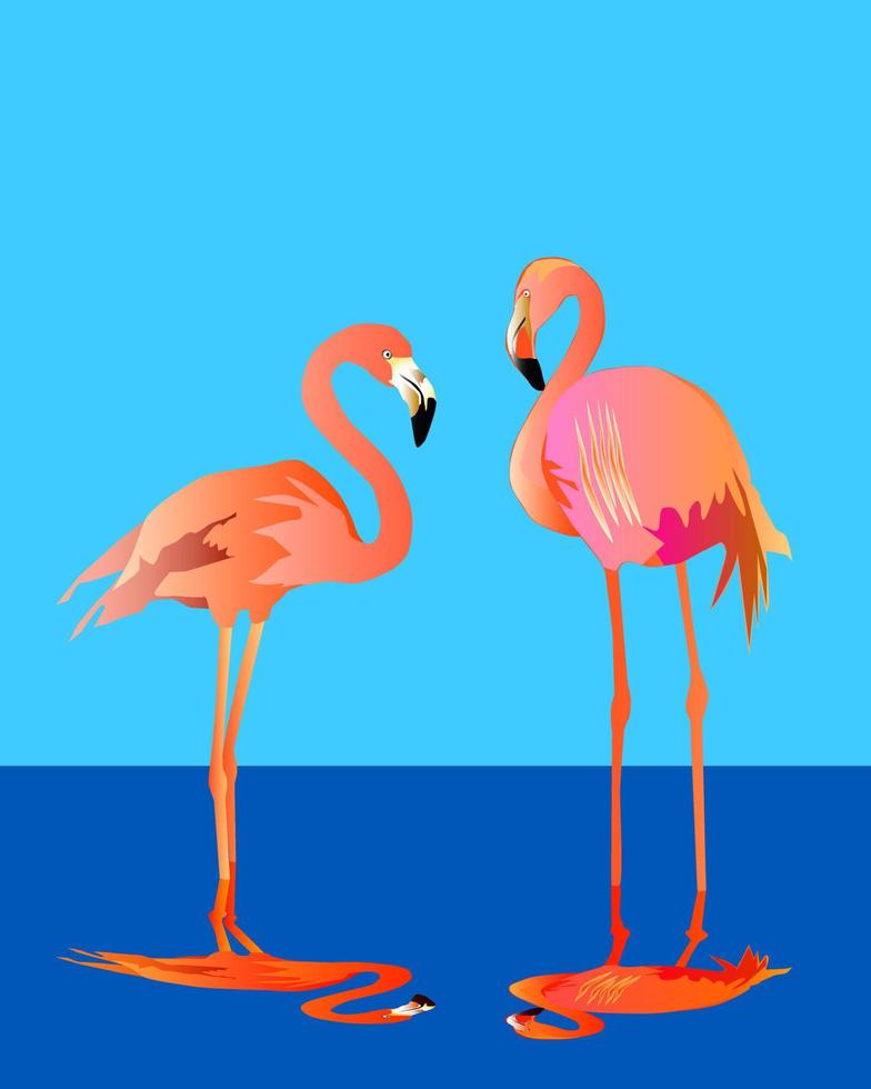 par de flamencos rosados contra un fondo oscuro vector