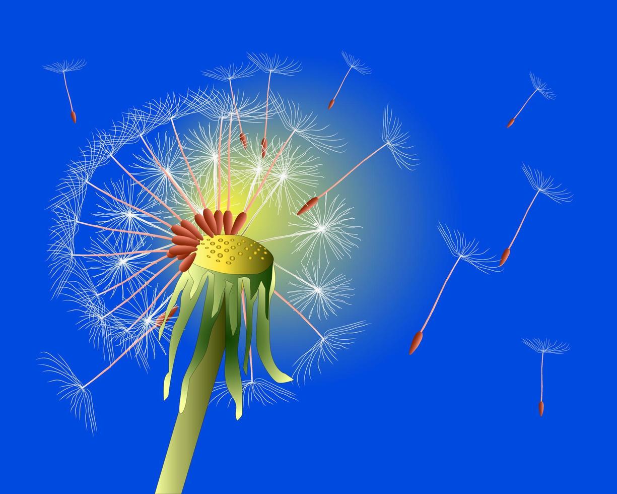 dandelion in the wind on a blue background vector