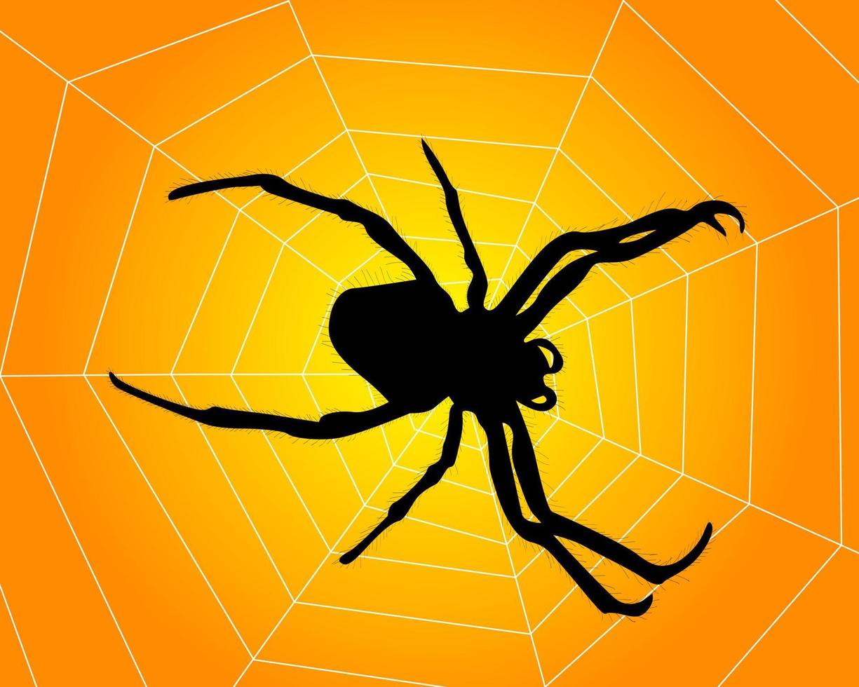 tela de araña con un fondo naranja vector