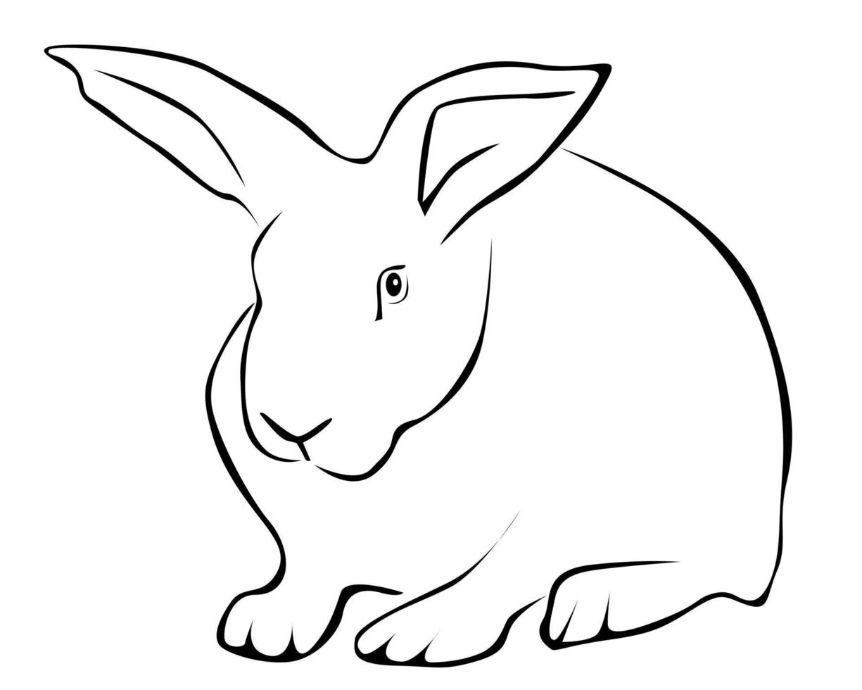 Tracing of a white rabbit on a white background vector