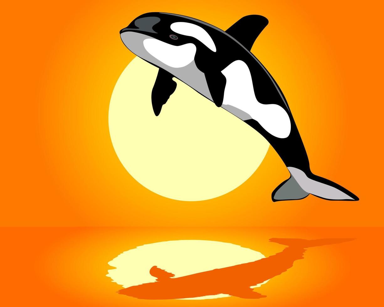 orca sobre el agua vector