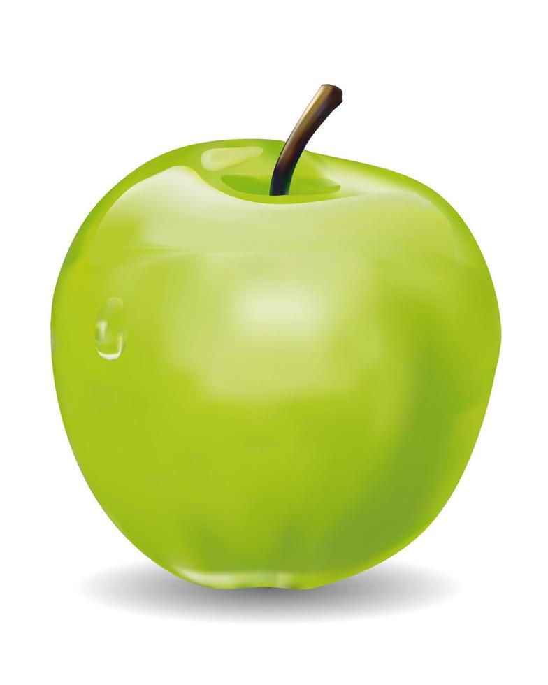 green apple on a white background vector