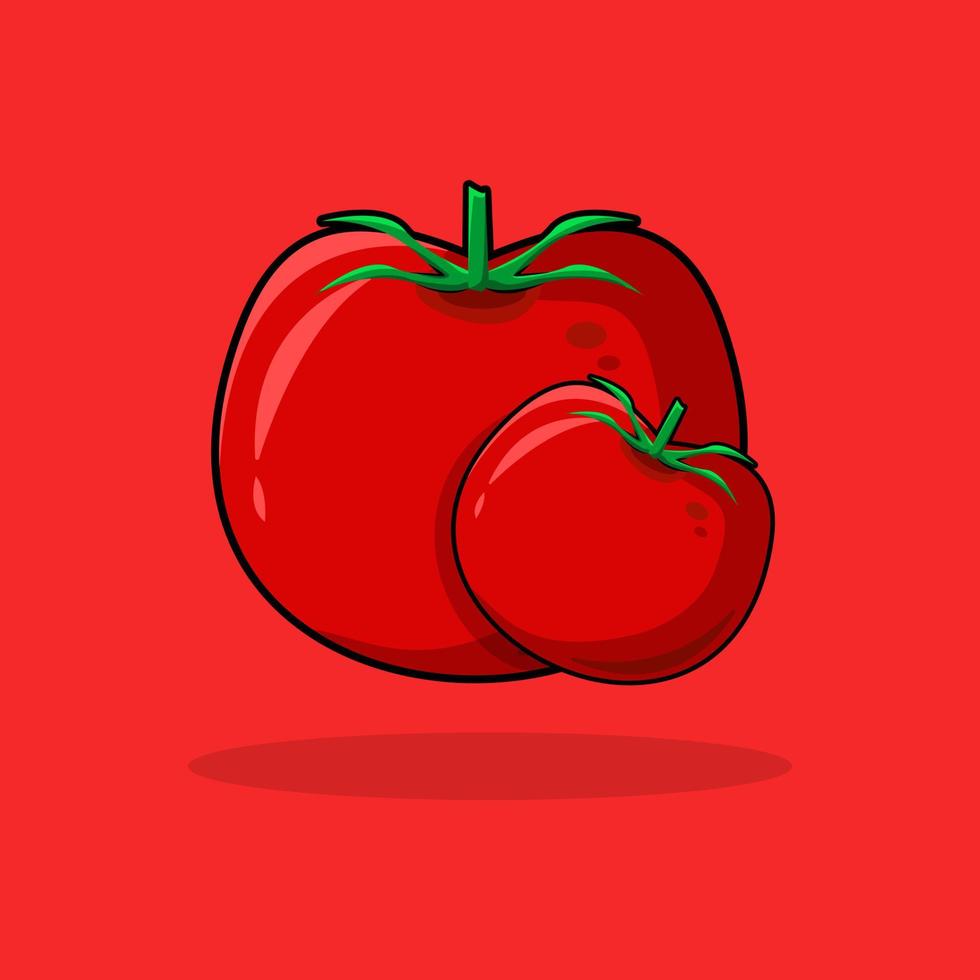 red tomato fresh fruit vegetable drawing vector